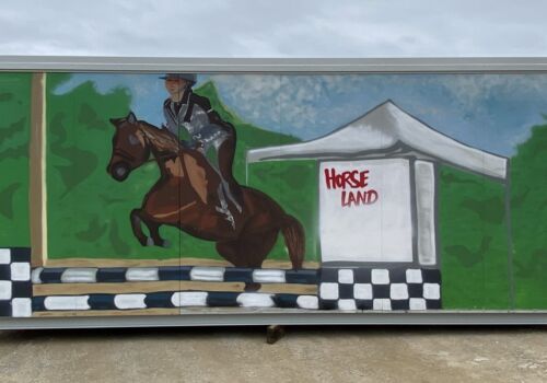 Bungalow d’occasion reconditionné 15m² – Image 6